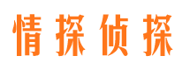 桐城情探私家侦探公司